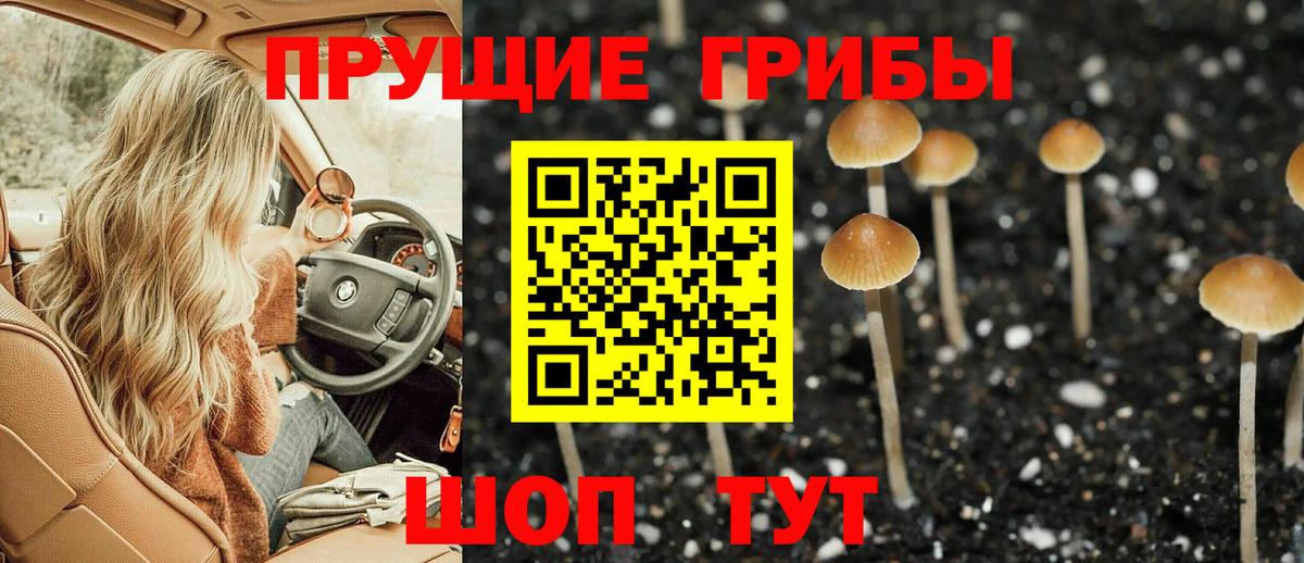 что такое   Псилоцибиновые грибы GOLDEN TEACHER  Вход с VPN  Галлюциногенные грибы GOLDEN TEACHER  Камень-на-Оби 