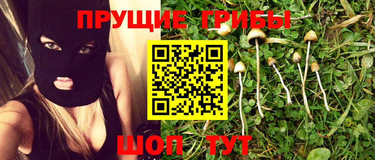 Псилоцибиновые грибы ЛСД Камень-на-Оби